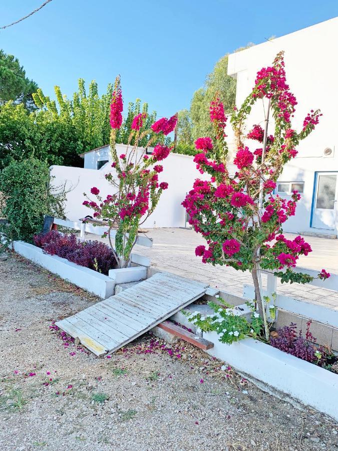 Apollonio Suites & Rooms Faliraki Rhodes Exteriör bild